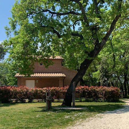 Villa Casina Miriano à Castiglione del Lago Extérieur photo