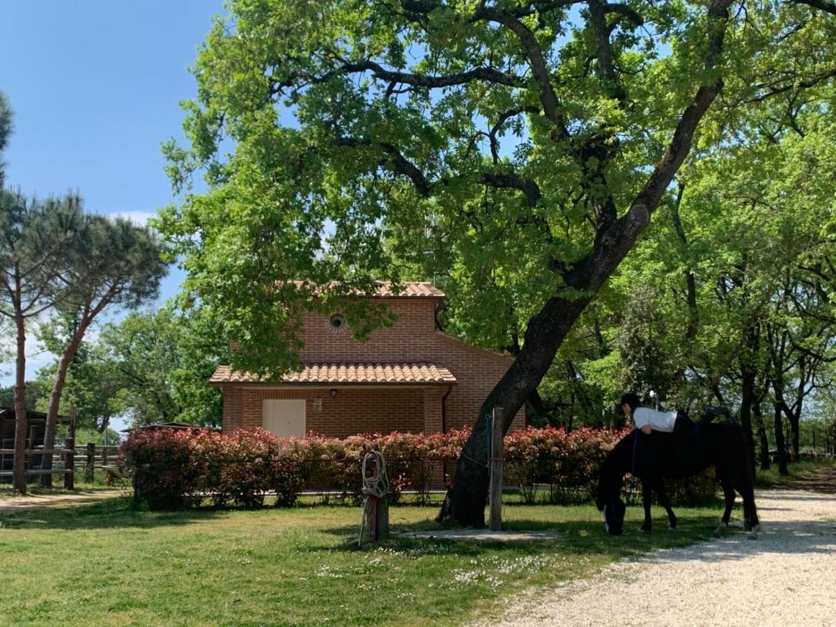 Villa Casina Miriano à Castiglione del Lago Extérieur photo
