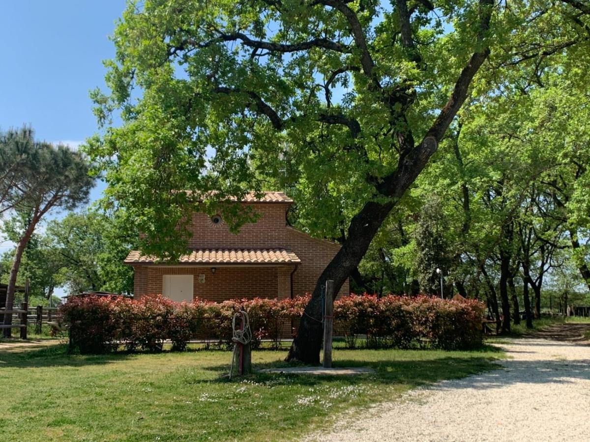 Villa Casina Miriano à Castiglione del Lago Extérieur photo
